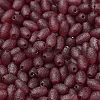 Transparent Colours Glass Seed Beads SEED-F006-03A-07-3