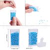 Glass Seed Beads SEED-PH0012-20-4