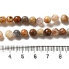 Natural Crazy Lace Agate Round Bead Strands X-G-M272-03-6mm-3