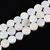 Electroplated Natural Freshwater Shell Beads Strands SSHEL-T017-31-1