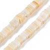 Handmade Lampwork Beads Strands LAMP-Q037-02B-16-1