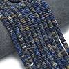 Frosted Natural Sodalite Beads Strands G-K389-C19-01-2