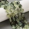 Natural Prehnite Beads Strands G-P534-A01-02-2