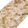 Natural Gemstone Beads Strands G-C116-A59-02-2