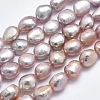 Natural Cultured Freshwater Pearl Beads Strands PEAR-K003-19B-1