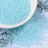MIYUKI Round Rocailles Beads SEED-G007-RR0220-1