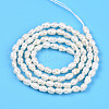 Natural Cultured Freshwater Pearl Beads Strands PEAR-N012-02X-3