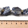 Raw Rough Natural Blue Spot Jasper Beads Strands G-Z087-B01-5