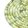 Natural Chinese Jade Beads Strands G-P575-A19-6x4mm-03-3