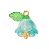 30Pcs Glass Pendants PALLOY-JF04000-02-3