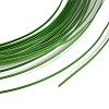 5M Aluminum Wire AW-H001-04B-2