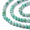 Natural Variscite Beads Strands G-C003-02-3