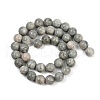 Natural Gemstone Beads Strands G-F792-C12-01-3