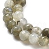 Natural Labradorite Bead Strands G-O155-05B-4mm-5