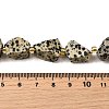 Raw Rough Natural Dalmatian Jasper Beads Strands G-Z087-A01-5