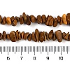 Natural Wood Lace Stone Beads Strands G-G905-22-4