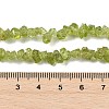 Natural Peridot Beads Strands X-G-P332-48-01-3