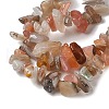 Natural Striped Agate/Banded Agate Chips Beads Strands F022-3