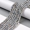 Faceted Electroplated Glass Beads Strands GLAA-C023-02-C11-3