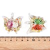 12Pcs Transparent Handmade Lampwork Pendants LAMP-R106-M1-01-B-4