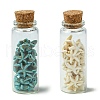 2Pcs Transparent Glass Wishing Bottle Decoration PALLOY-JF03374-1