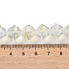 Handmade Lampwork Beads Strands LAMP-Q036-03D-4