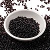 MIYUKI Round Rocailles Beads SEED-X0055-RR2402-2