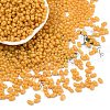 Baking Paint Glass Seed Beads SEED-L011-09A-22-1