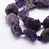 Natural Amethyst Beads Strands G-G697-E06-3