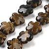 Natural Tiger Eye Beads Strands G-F769-H01-01-1