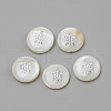 Natural Freshwater Shell Beads SHEL-Q011-005P-1