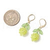 Acrylic Glass Leverback Earrings EJEW-MZ00443-3