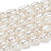 Natural Cultured Freshwater Pearl Beads Strands X-PEAR-N012-05G-5