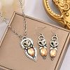 Owl Bohemia Style Alloy & Resin Pendant Necklaces & Dangle Earrings Sets FS-WGD384A-01-4