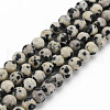 Natural Dalmatian Jasper Bead Strands G-R345-4mm-51-01-1