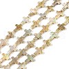 Drawbench Style Natural Freshwater Shell Beads Strands X1-BSHE-G036-01-1
