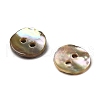 Abalone Shell/Paua Shell BSHE-I011-04D-2