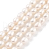 Natural Cultured Freshwater Pearl Beads Strands PEAR-P062-03B-2