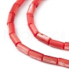 Natural Freshwater Shell Dyed Beads Strands X-SHEL-M018-11-07-3
