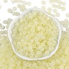 Transparent Colours Glass Seed Beads SEED-P008-01B-10-3