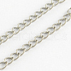 304 Stainless Steel Curb Chains CHS-R005-100m-01-1