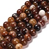 Natural Striped Agate/Banded Agate Beads Strands G-B079-A05-03C-2