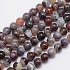 Round Natural Botswana Agate Bead Strands G-I166-02-8mm-1