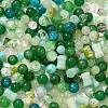 Mixed Style Glass Beads GLAA-XCP0012-02K-1