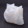 DIY Decoration Statue Silicone Molds DIY-D051-05-5