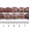 Natural Weathered Agate Beads Strands G-NH0047-B02-01-5