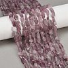 Natural Rose Quartz Beads Strands G-Q060-D11-1