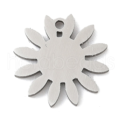304 Stainless Steel Charms STAS-S174-03P-1