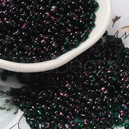Spray Painted Glass Seed Beads SEED-F005-10A-03-1