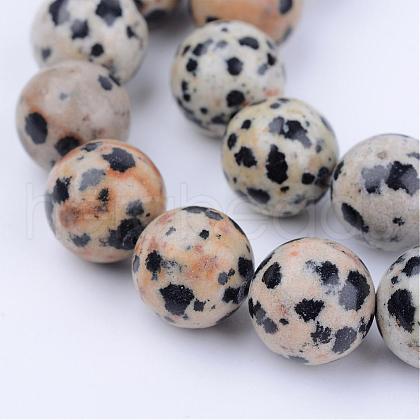 Natural Dalmatian Jasper Beads Strands G-Q462-6mm-30-1